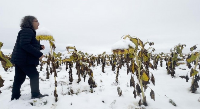 Kavukcu'dan 'ego'  performansı